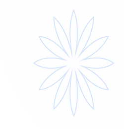 平博88(pinnacle)官方网站